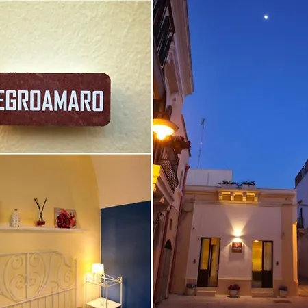 Vecchia Cantina - Le Sannicola