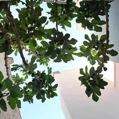 Vecchia Cantina - Le Vendégház