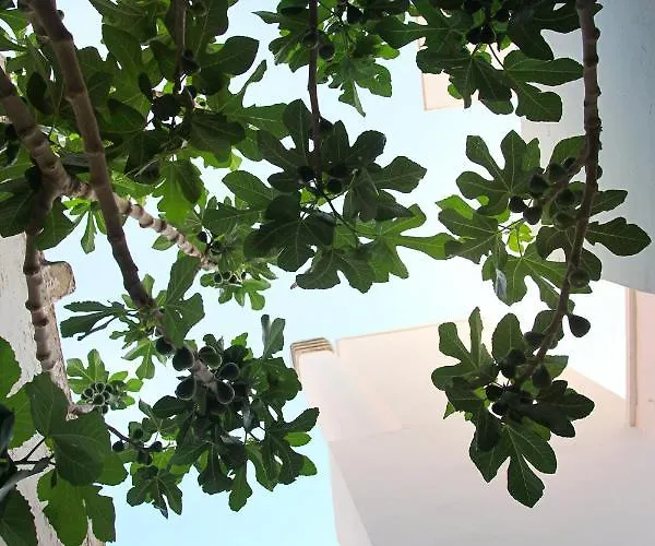 Vecchia Cantina - Le Guest house